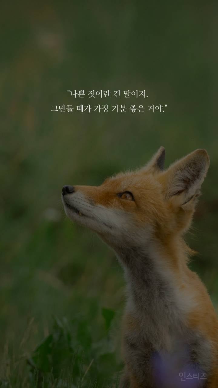 보노보노 명언 | 인스티즈
