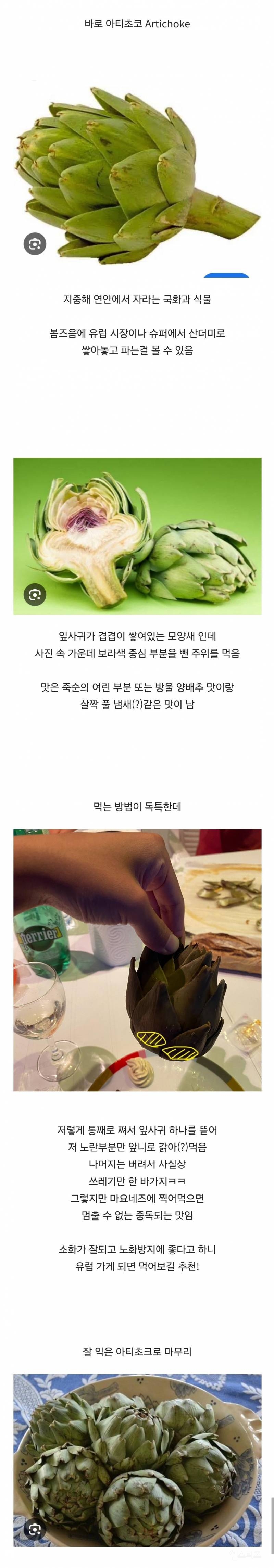 먹어본 사람이 거의 없다는 생소한 채소 | 인스티즈
