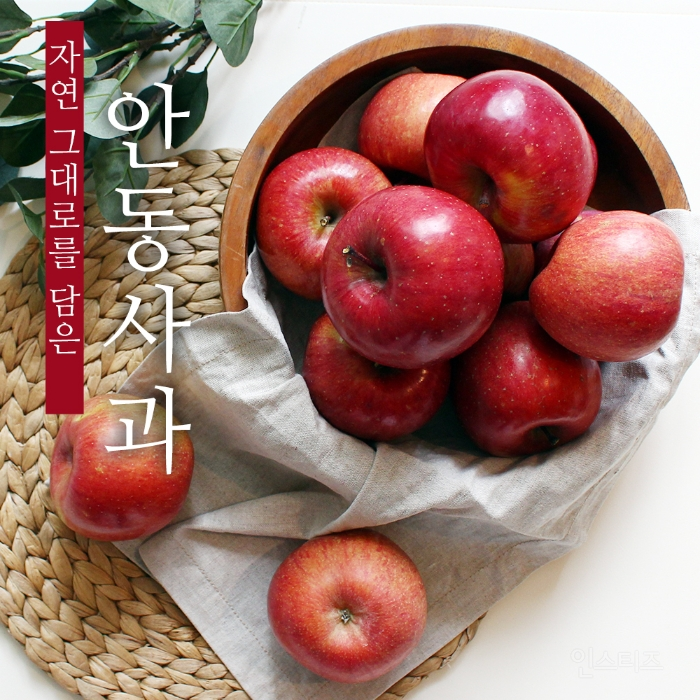전국반짝투어로 알아보는 대한민국 지역 특산물.jpg | 인스티즈
