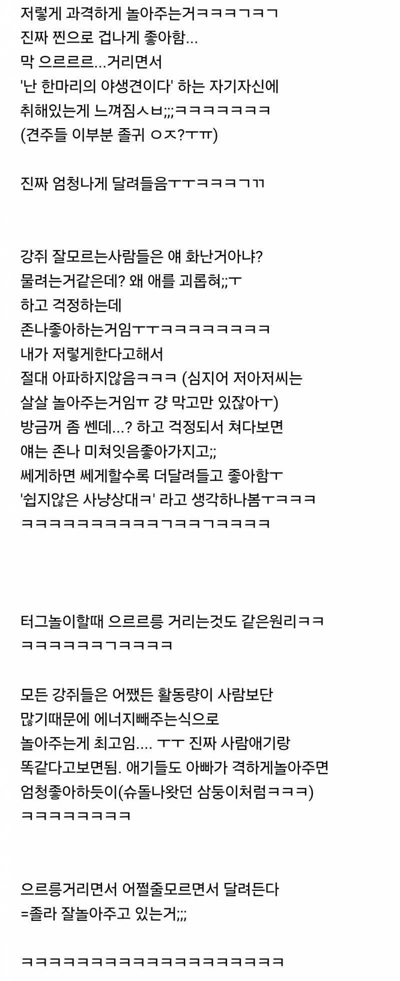 강아지 안키우는사람들은 왜 때리냐고 너무 쎈거 아니냐고 걱정하는거 ㅋㅋㅋㅋㅋㅋㅋ | 인스티즈