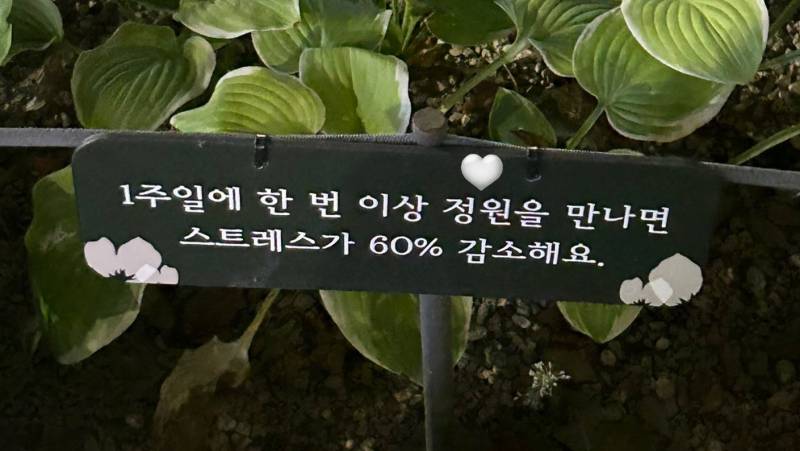 [잡담] 아 이거 정원이 순꾸할 때 봤으면 좋았을텐데 | 인스티즈