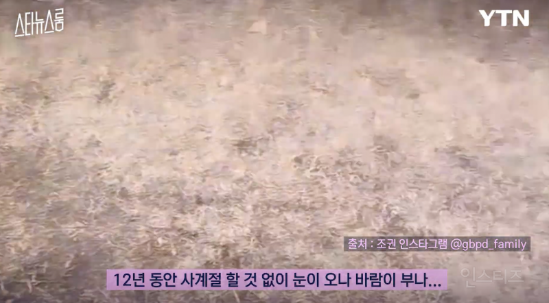 반려인들은 무조건 공감할 것 같은 상황 .jpg | 인스티즈