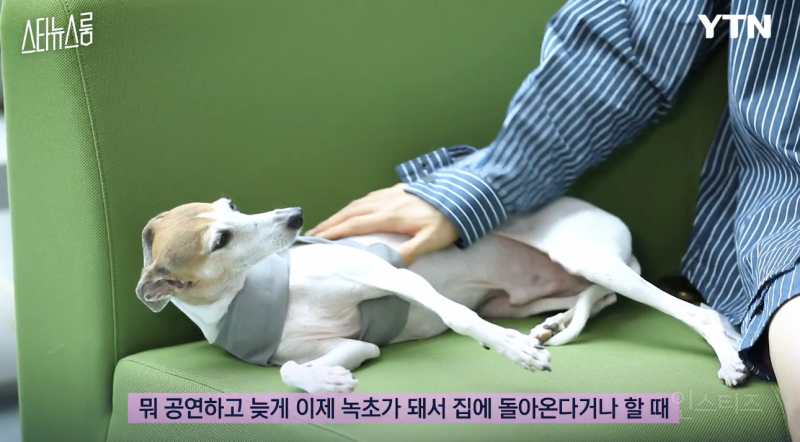 반려인들은 무조건 공감할 것 같은 상황 .jpg | 인스티즈