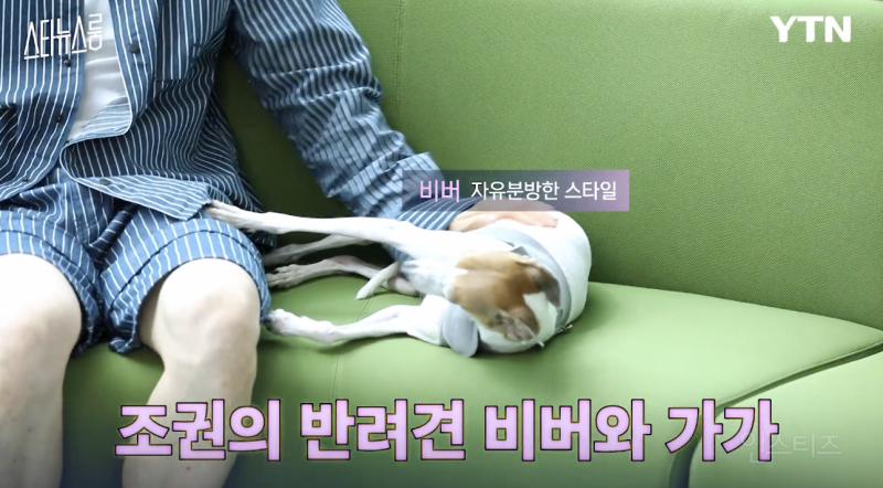 반려인들은 무조건 공감할 것 같은 상황 .jpg | 인스티즈