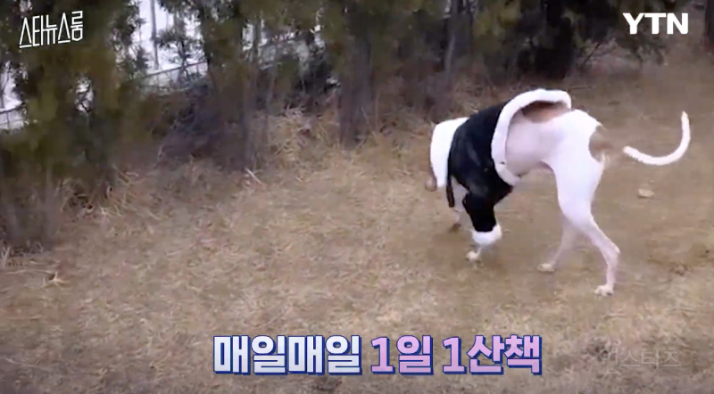 반려인들은 무조건 공감할 것 같은 상황 .jpg | 인스티즈