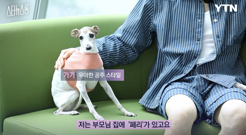 반려인들은 무조건 공감할 것 같은 상황 .jpg | 인스티즈