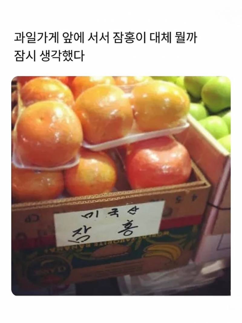 과일 사러 왔는데 복숭아 너무 불쌍해.. | 인스티즈