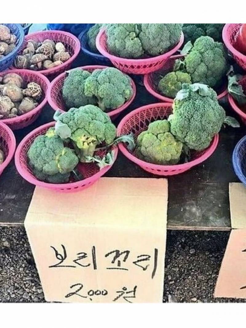 과일 사러 왔는데 복숭아 너무 불쌍해.. | 인스티즈