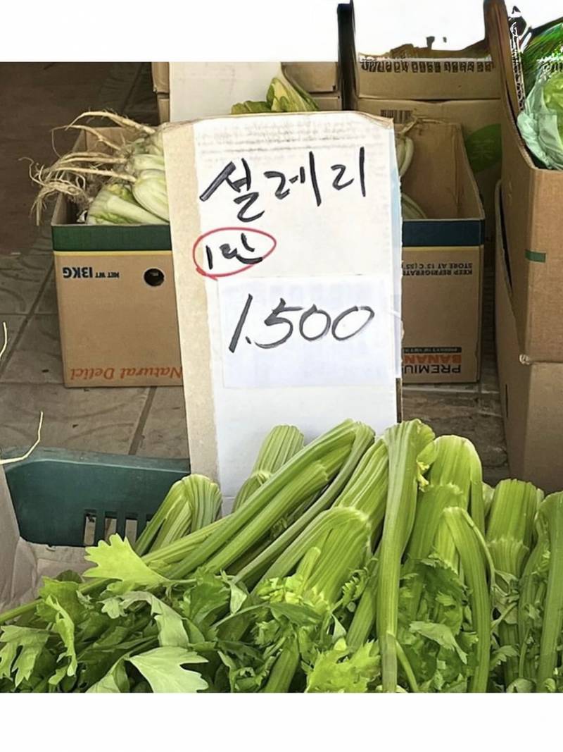 과일 사러 왔는데 복숭아 너무 불쌍해.. | 인스티즈