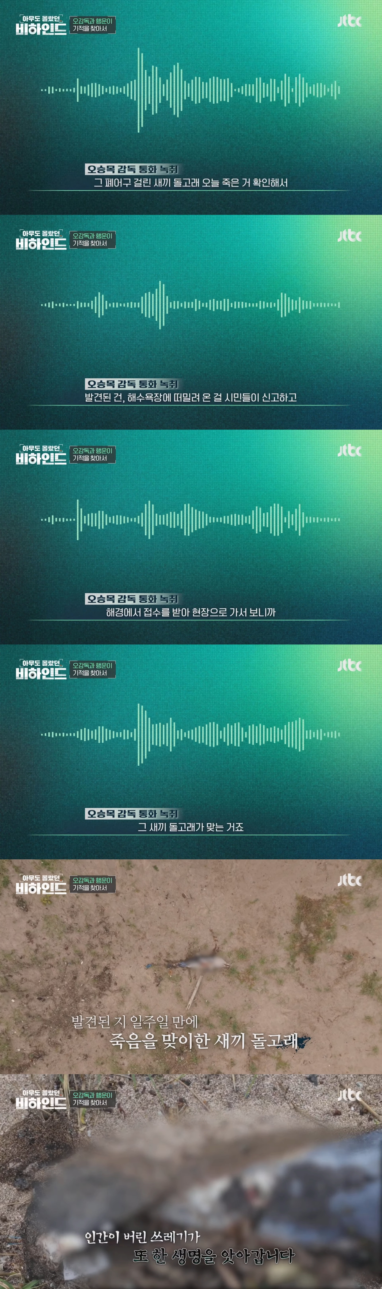 인간이 버린 쓰레기에 걸려 고통 받는 돌고래들을 따라다니는 돌고래 아빠 | 인스티즈