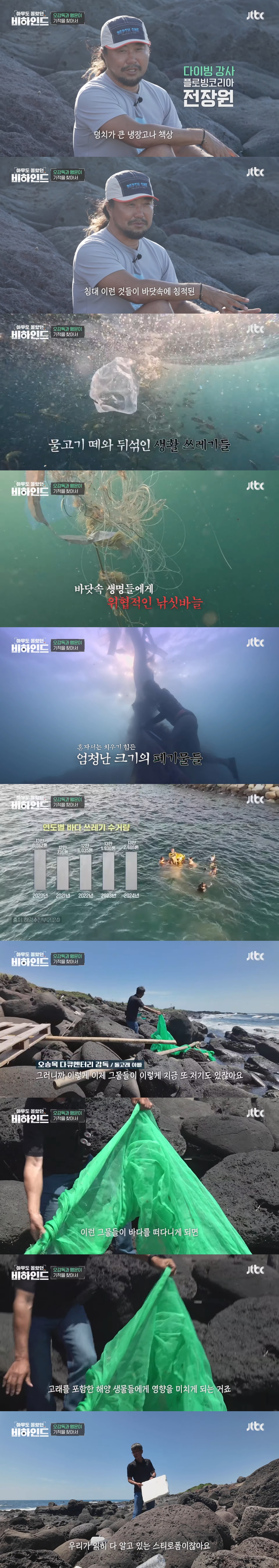 인간이 버린 쓰레기에 걸려 고통 받는 돌고래들을 따라다니는 돌고래 아빠 | 인스티즈
