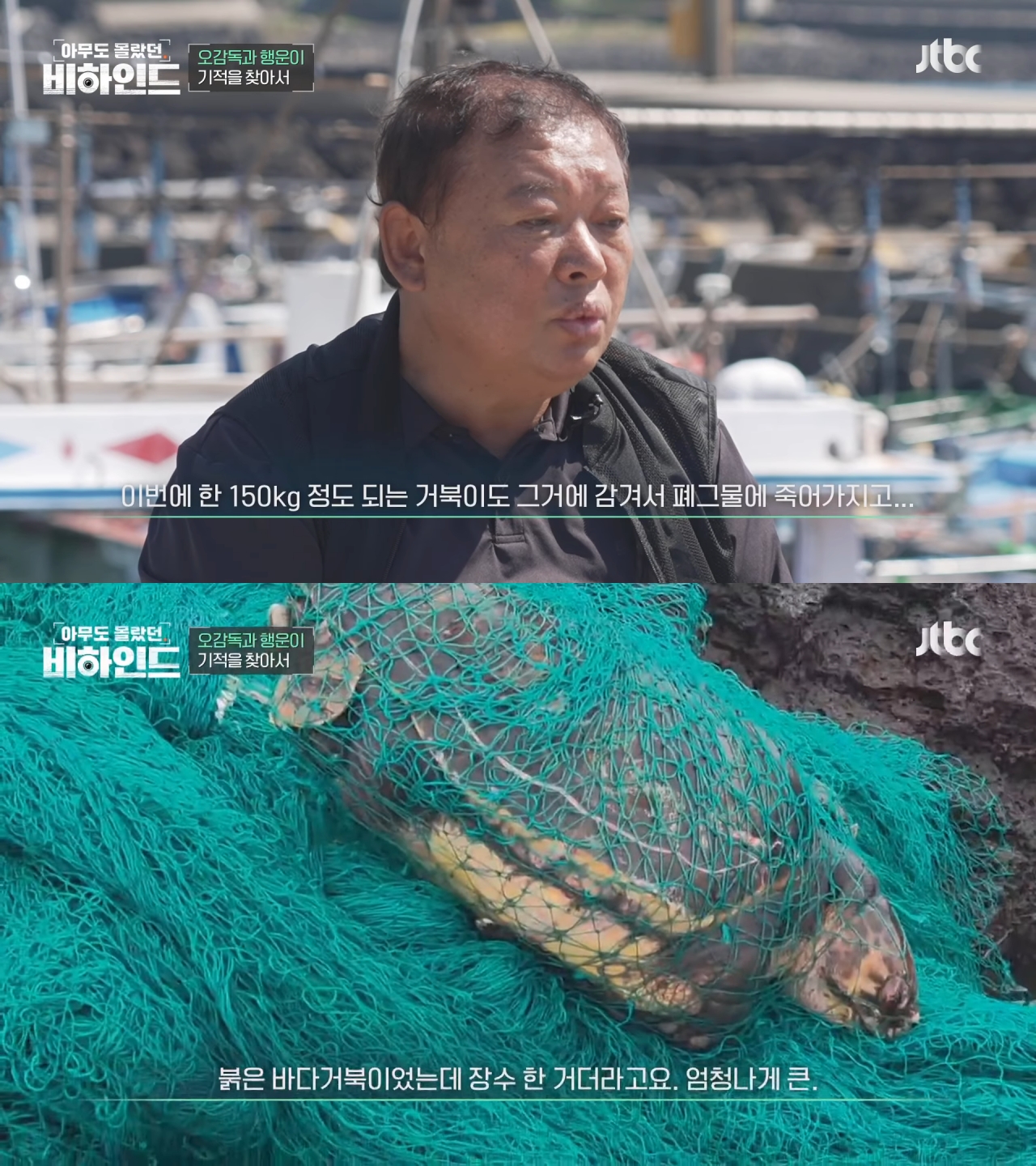 인간이 버린 쓰레기에 걸려 고통 받는 돌고래들을 따라다니는 돌고래 아빠 | 인스티즈