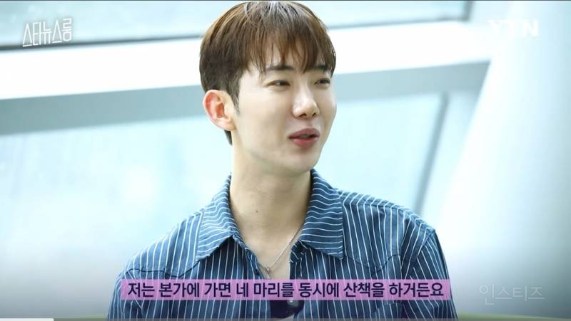 강아지 네마리랑 동시에 산책한다는 조권 .jpg | 인스티즈