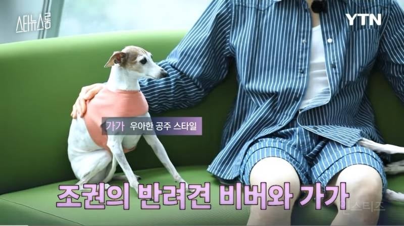 강아지 네마리랑 동시에 산책한다는 조권 .jpg | 인스티즈