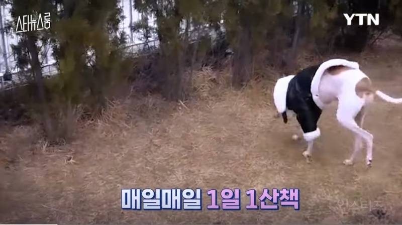 강아지 네마리랑 동시에 산책한다는 조권 .jpg | 인스티즈
