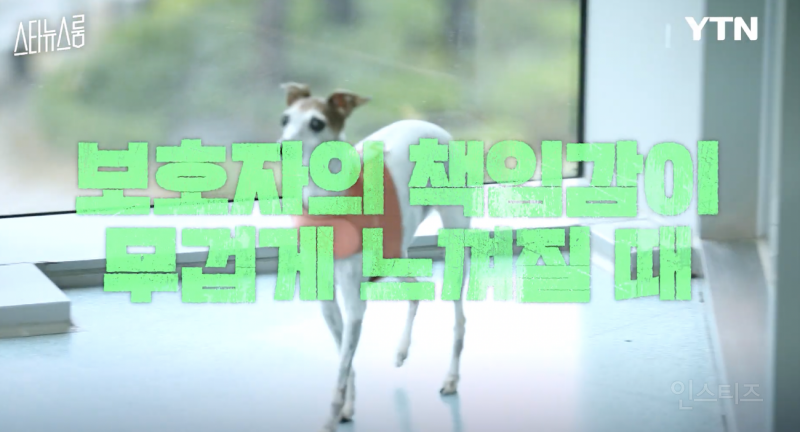 사실은 반려견들이 희생하는거라는 연예인 .jpg | 인스티즈