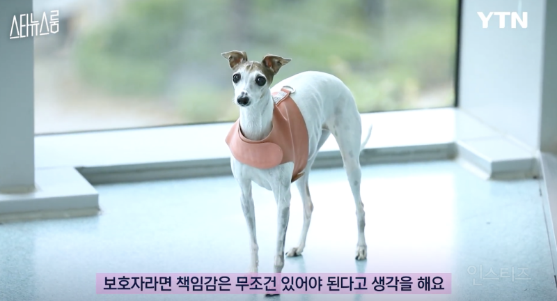 사실은 반려견들이 희생하는거라는 연예인 .jpg | 인스티즈