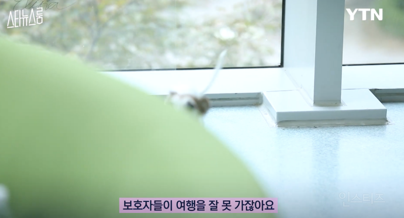 사실은 반려견들이 희생하는거라는 연예인 .jpg | 인스티즈
