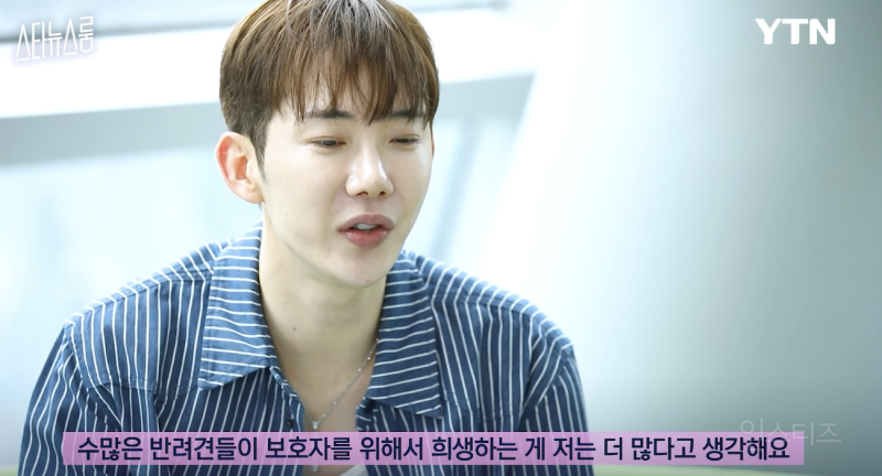 사실은 반려견들이 희생하는거라는 연예인 .jpg | 인스티즈