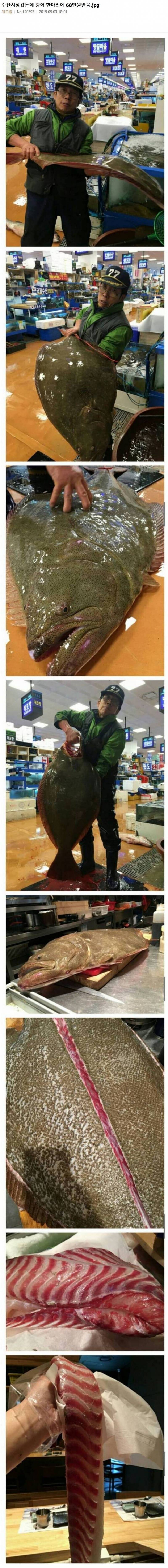 수산시장 왔는데 광어한마리에 68만원 달라고 함;; | 인스티즈