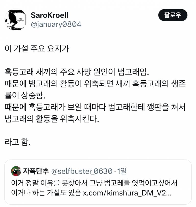 요즘 혹등고래가 범고래 사냥 방해하는게 관찰된다는데...twt | 인스티즈