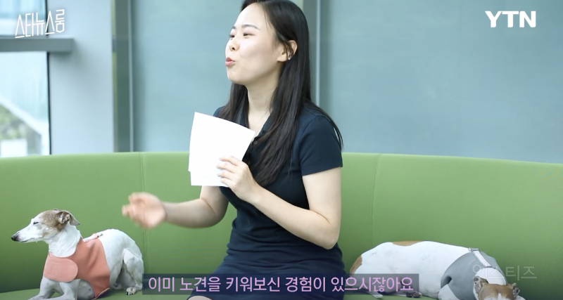 노견을 키우는 반려인의 마음가짐 .jpg | 인스티즈