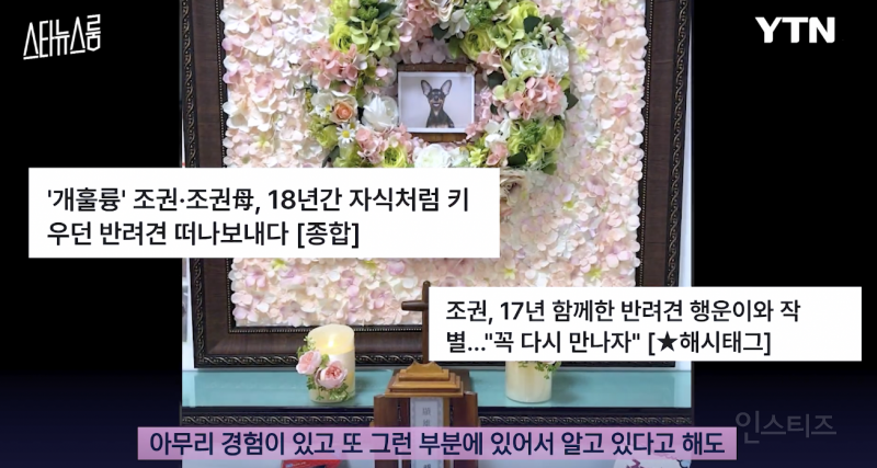 노견을 키우는 반려인의 마음가짐 .jpg | 인스티즈