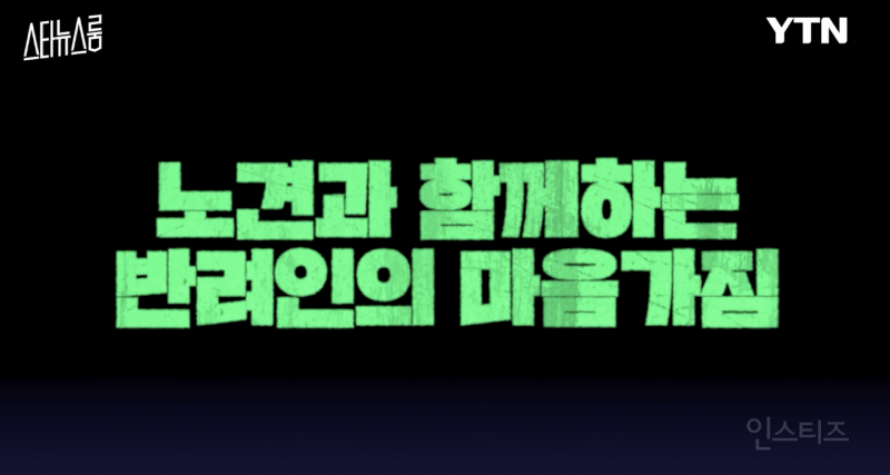 노견을 키우는 반려인의 마음가짐 .jpg | 인스티즈