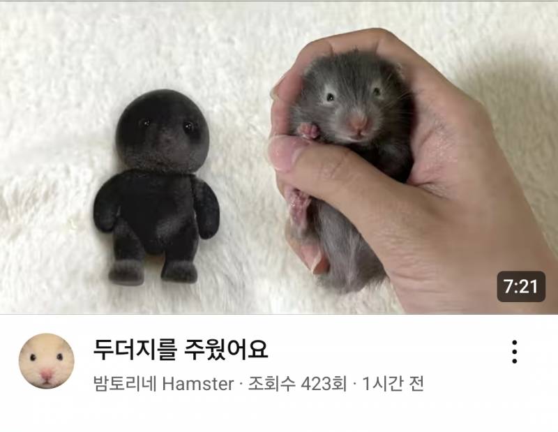 [잡담] 정병만나서 기분 잡쳤다가 유튜브 썸네일보고 풀림 | 인스티즈