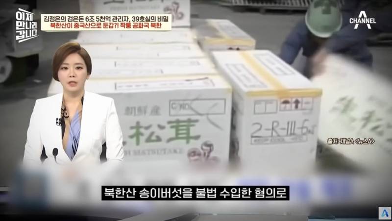 북한산송이버섯을 일본에 수출하는 방법 | 인스티즈
