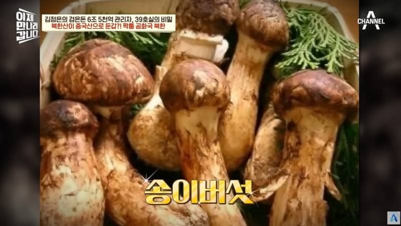 북한산송이버섯을 일본에 수출하는 방법 | 인스티즈