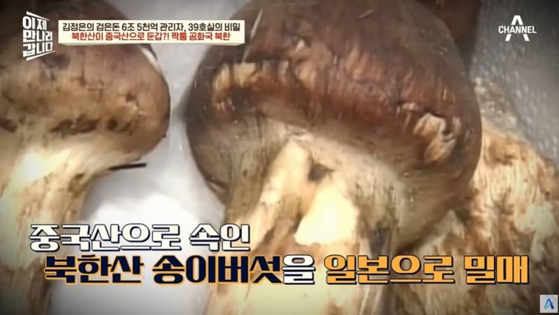 북한산송이버섯을 일본에 수출하는 방법 | 인스티즈