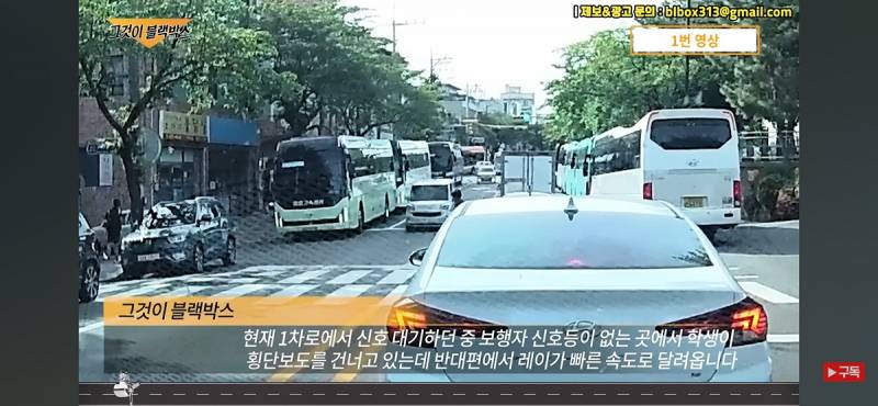 신호등 없는 횡단보도 건너는 보행자들이 종종 겪는 일.gif | 인스티즈