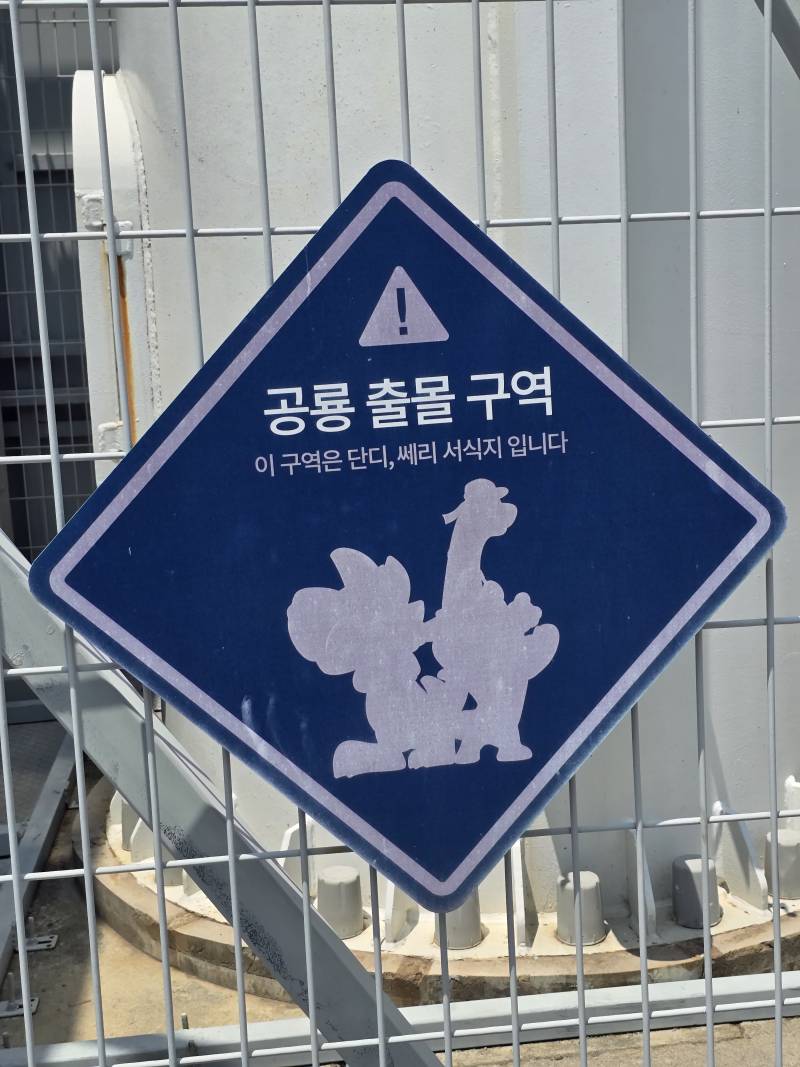 NC 선예매 | 인스티즈