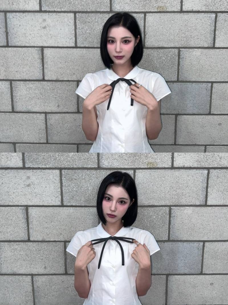 확신의 고양이상 같은 아이돌.jpg | 인스티즈