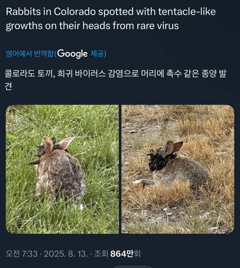 [잡담] 으으... 영화 바이러스의 시작같음 (ㅎㅇㅈㅇ) | 인스티즈