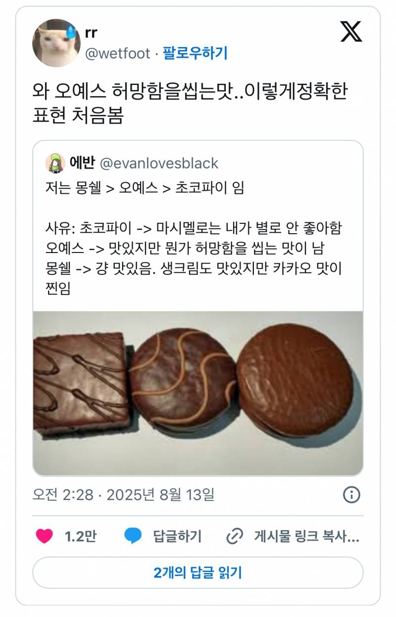 와 오예스 허망함을씹는맛..이렇게정확한표현 처음봄 | 인스티즈