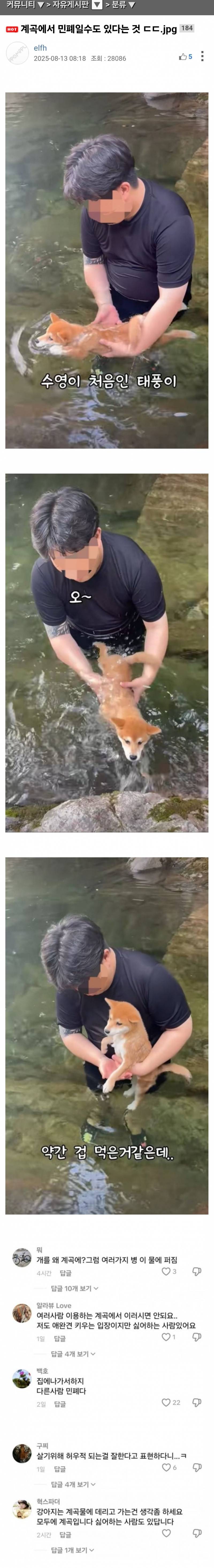 계곡에서 민폐일수도 있다는 것.jpg | 인스티즈