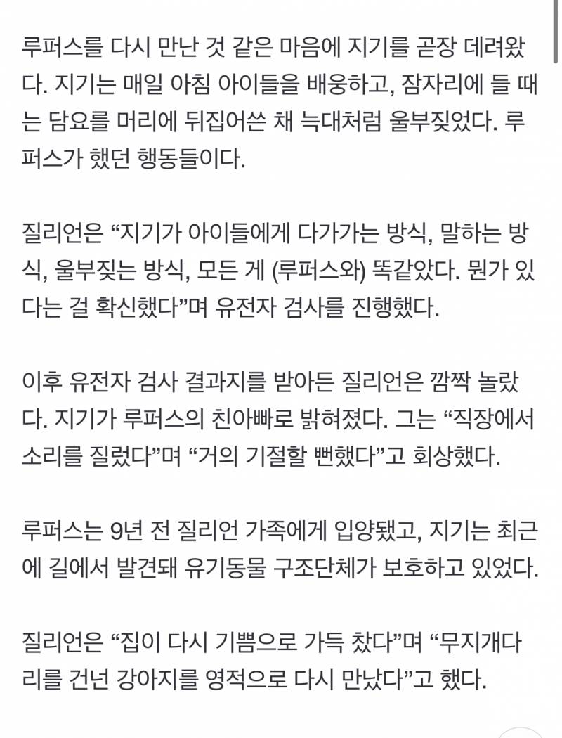 키우던 강아지와 똑 닮아 입양했는데… | 인스티즈