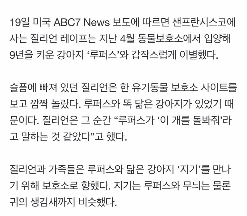 키우던 강아지와 똑 닮아 입양했는데… | 인스티즈