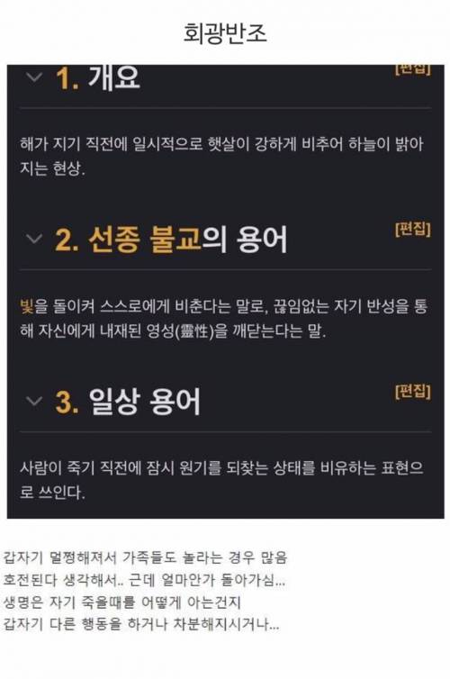 아팠던 사람이나 동물이 죽기전 정신 멀쩡해지는 현상.jpg | 인스티즈