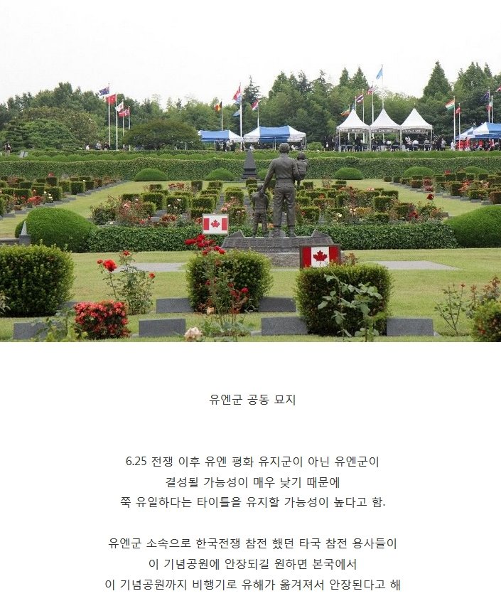 세계에 단 1개 밖에 없다는 묘지 | 인스티즈