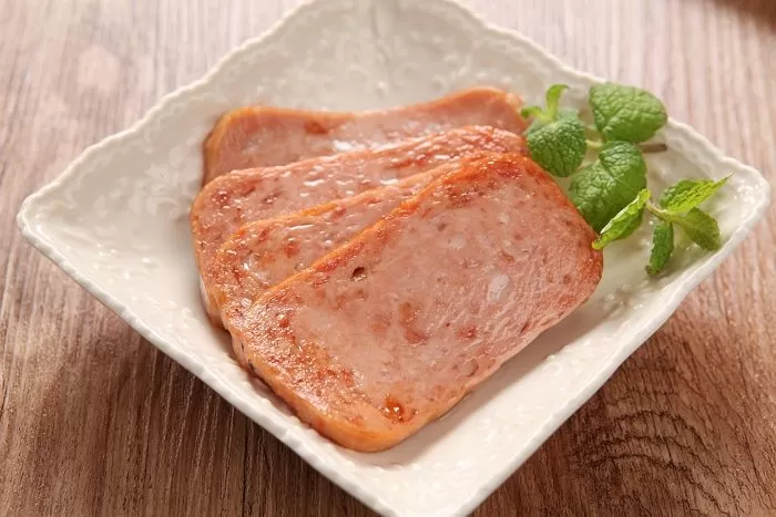 스팸 vs 비엔나 승자는?? | 인스티즈