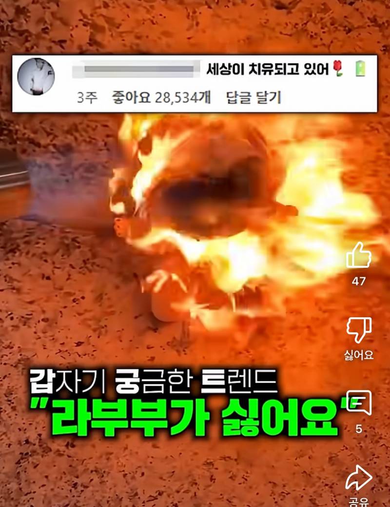 현재 유행중이라는 라부부 작살내기 챌린지..JPG | 인스티즈