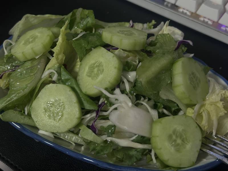[잡담] 와 내 저녁진짜 맛없게생겼다 | 인스티즈