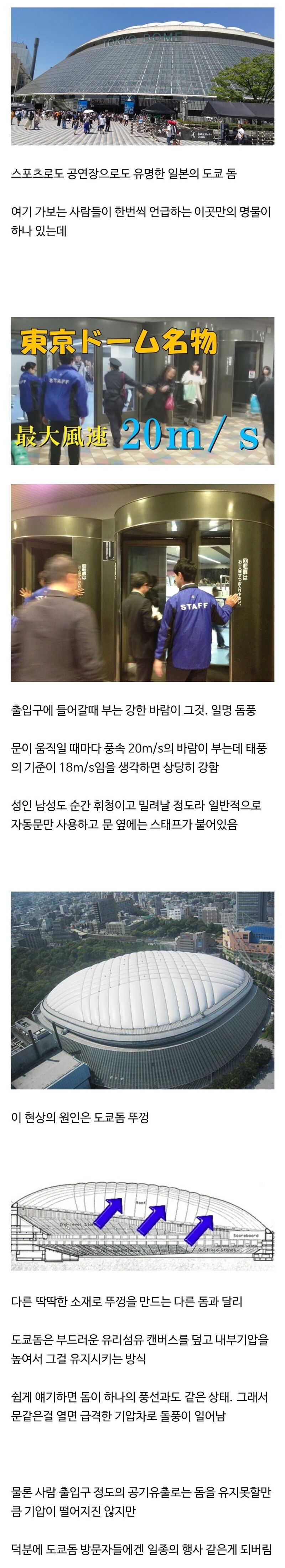 일본 도쿄돔에서만 경험할 수 있다는 명물 | 인스티즈
