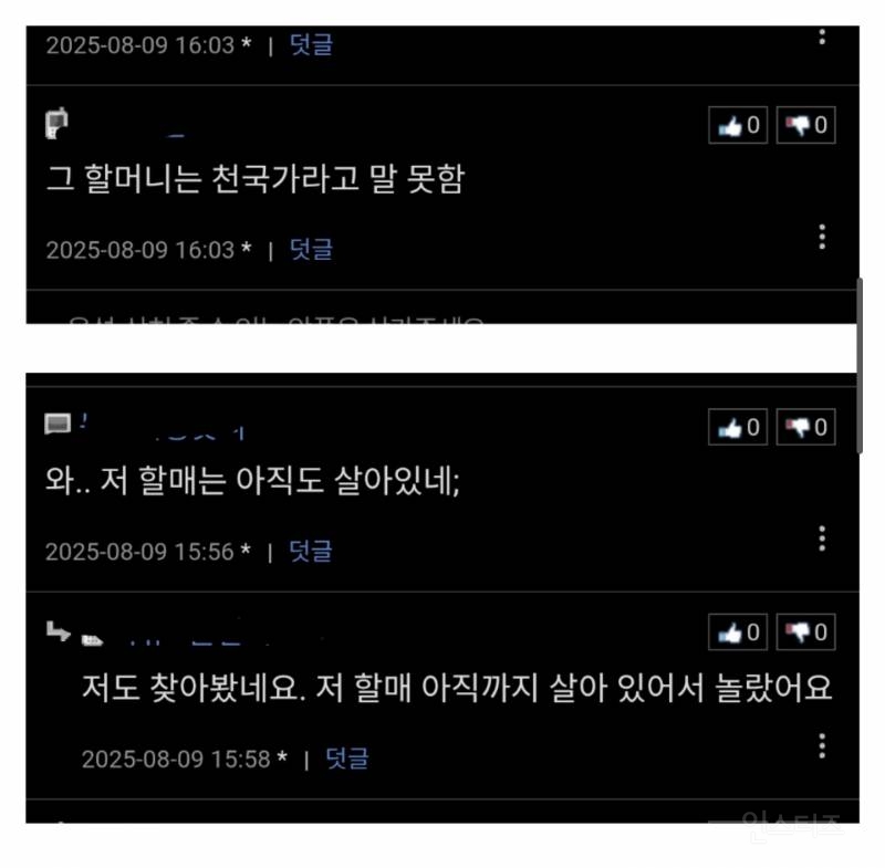 위안부 할머니한테 막말하는 그 분 지지자들 | 인스티즈