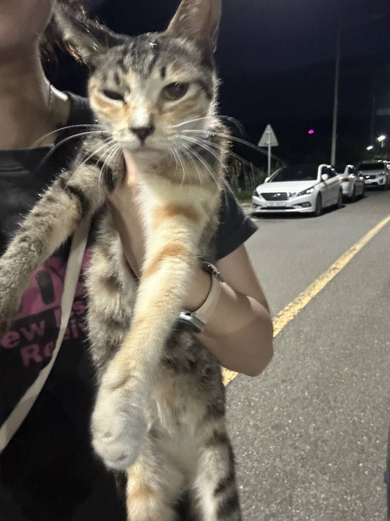 [잡담] 얘가 10분 넘게 따라왔어 | 인스티즈