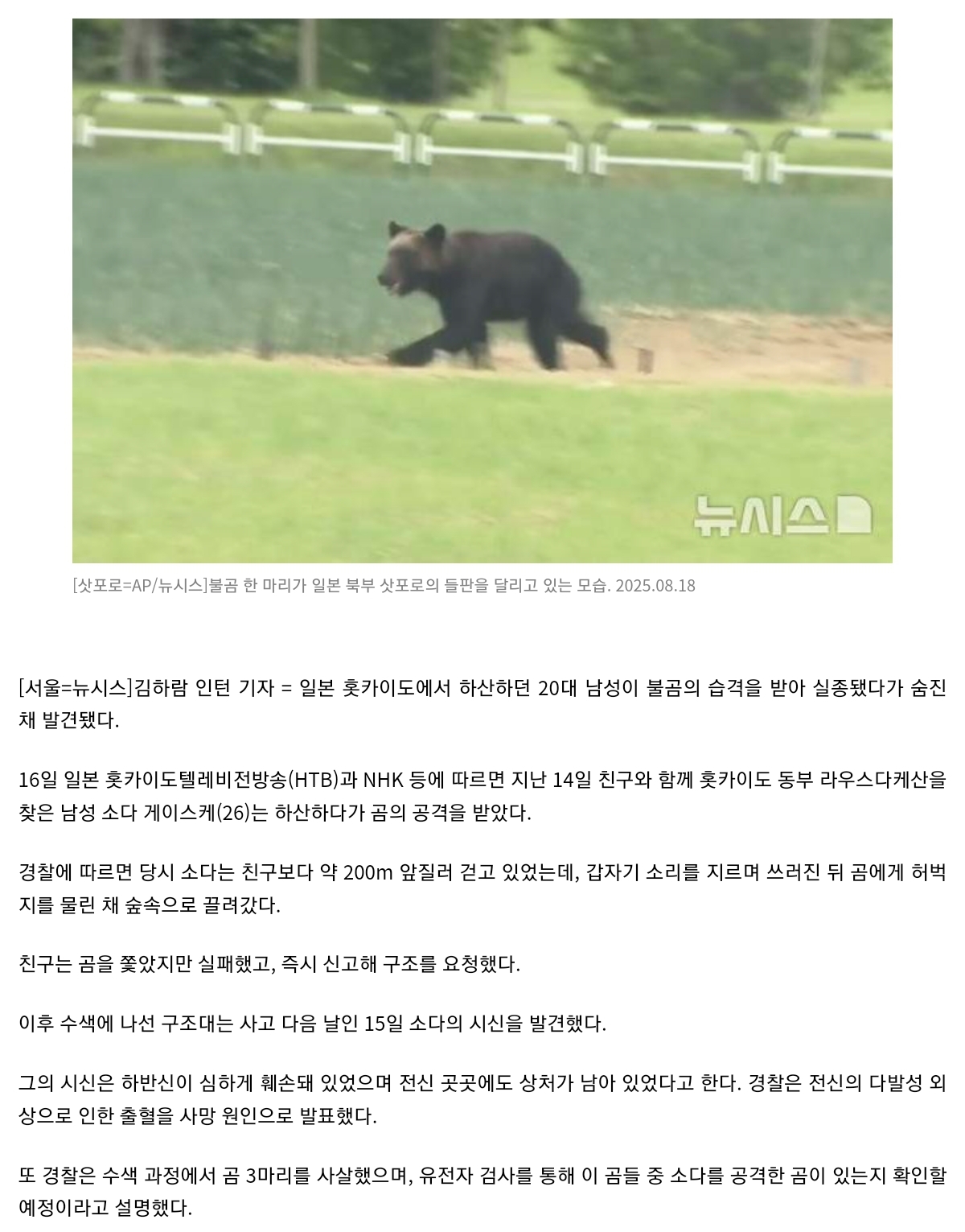 [정보/소식] 日서 실종된 20대 시신 발견 "곰에게 허벅지 물린 채 끌려가" | 인스티즈