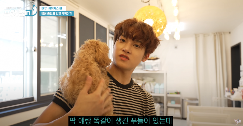 유기견 봉사활동 찰영 중 실시간으로 입양 시도한 남돌 | 인스티즈